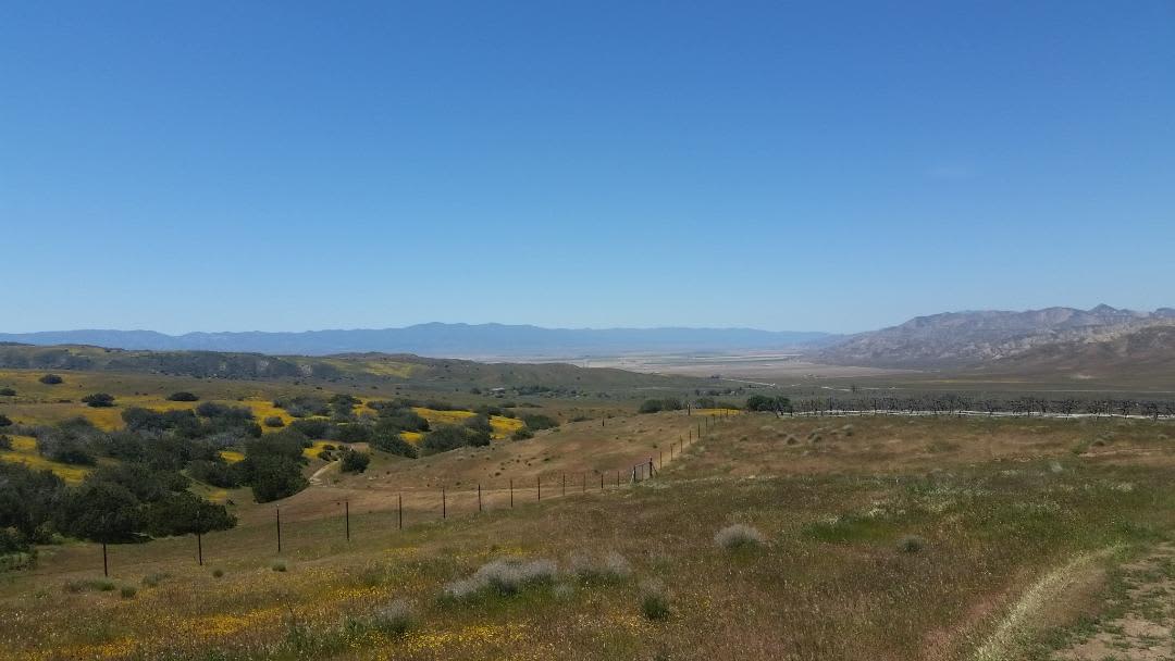 Cuyama Valley 