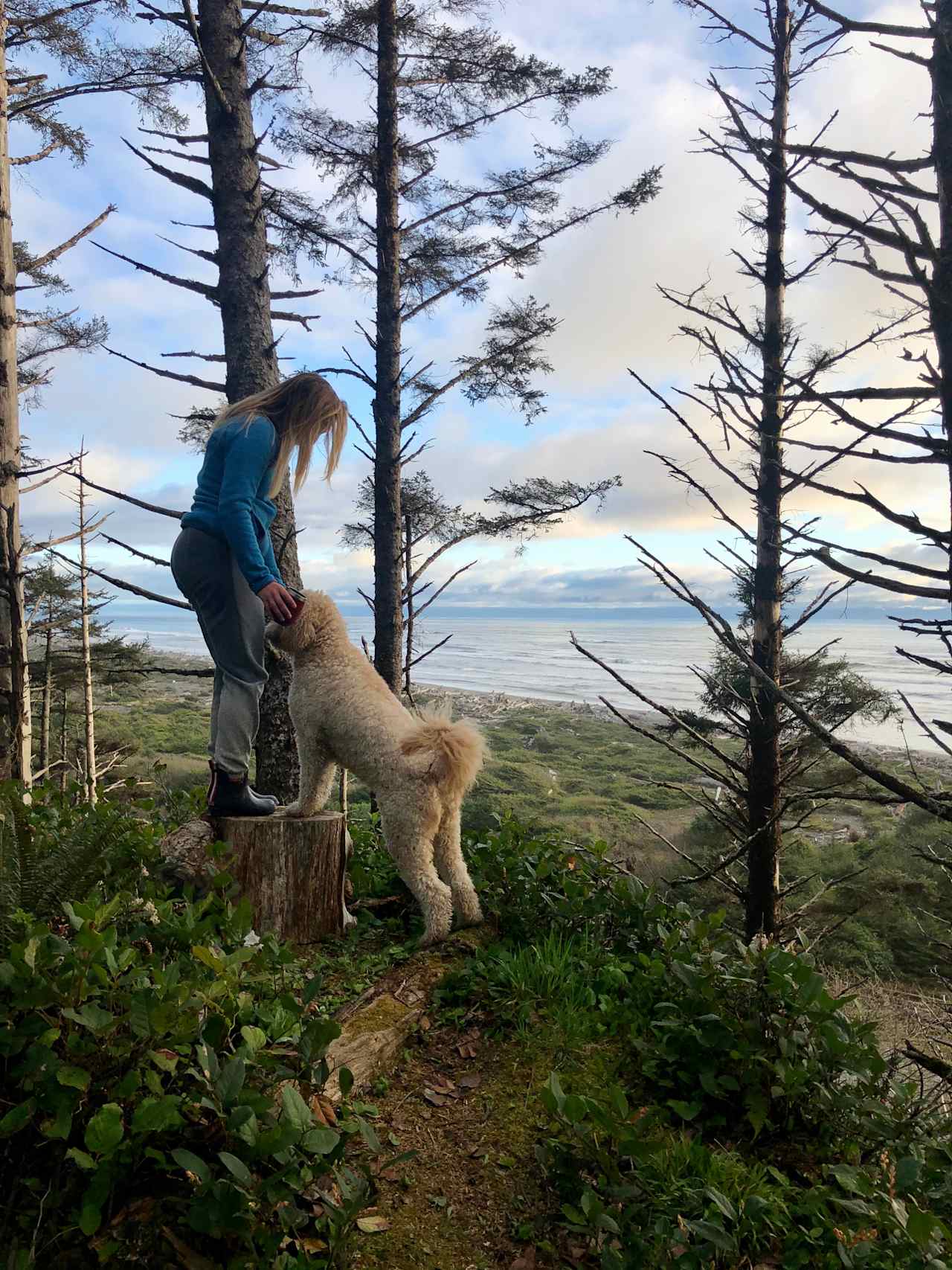 Wild WA Coast Lookout ($75 - $125)