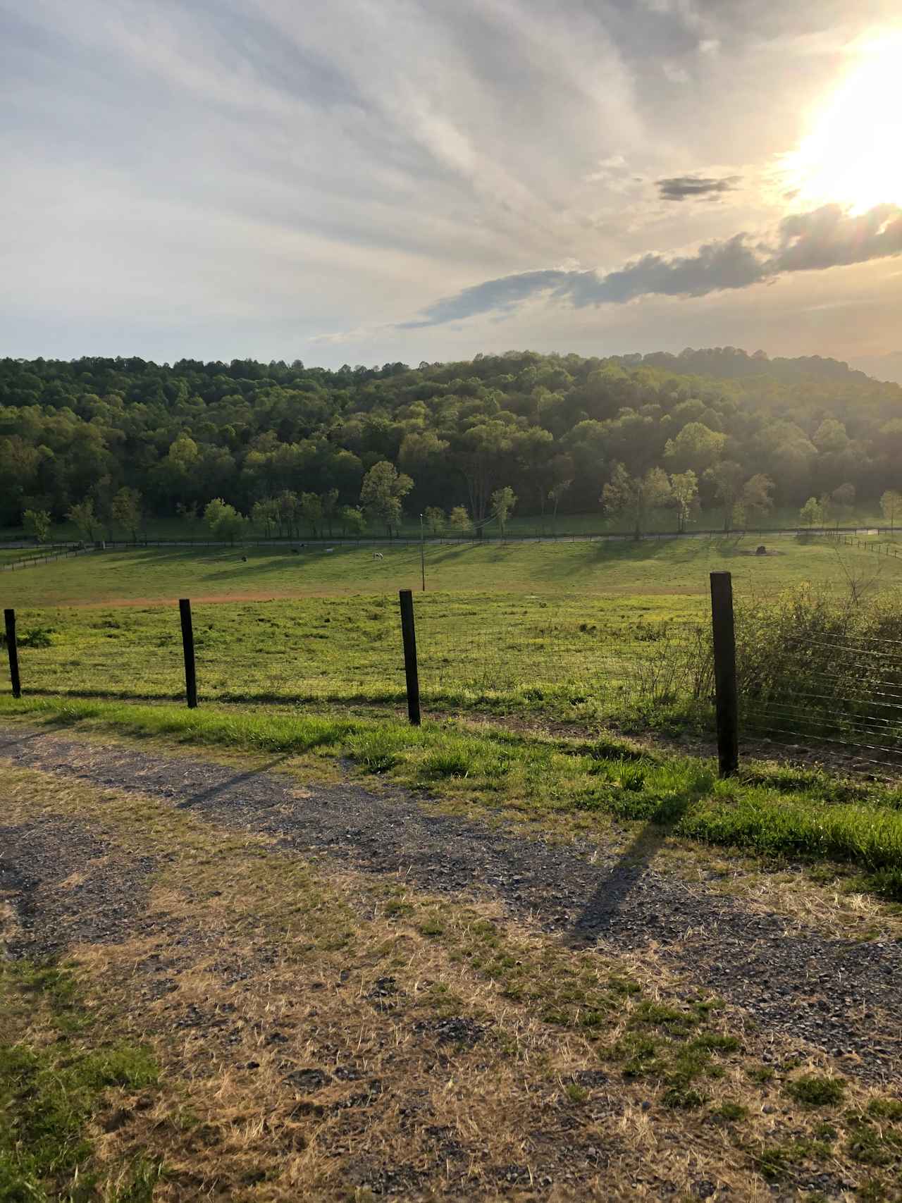 Tent Camping w/privacy & great view