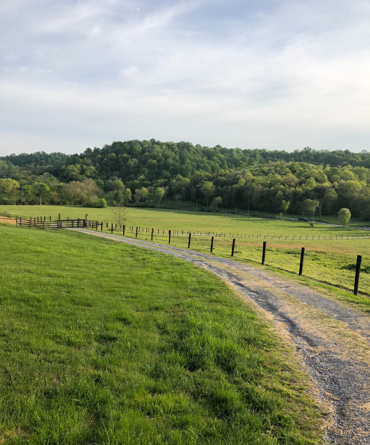 Tent Camping w/privacy & great view