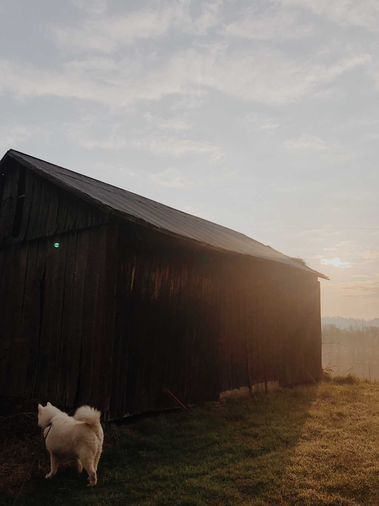 The Pleasant Valley Farm