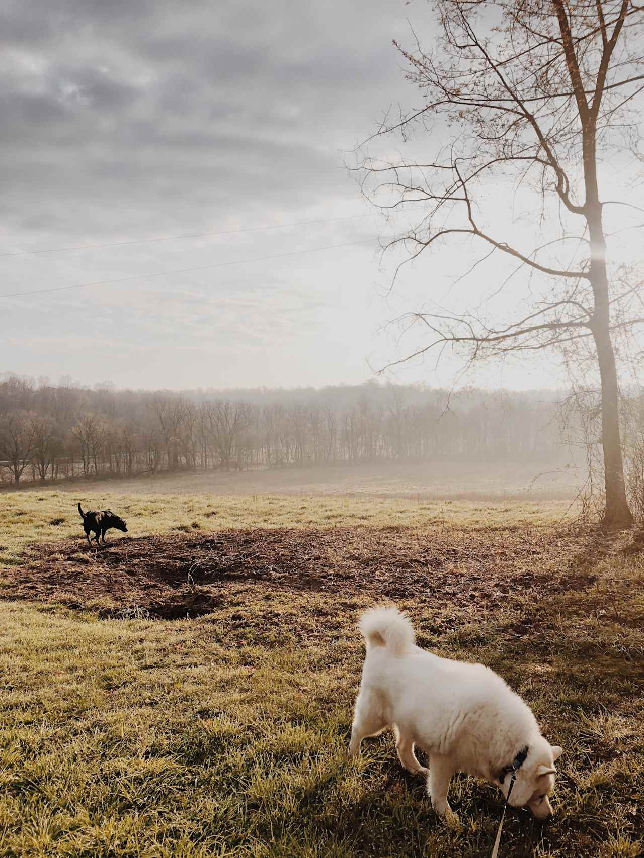 The Pleasant Valley Farm