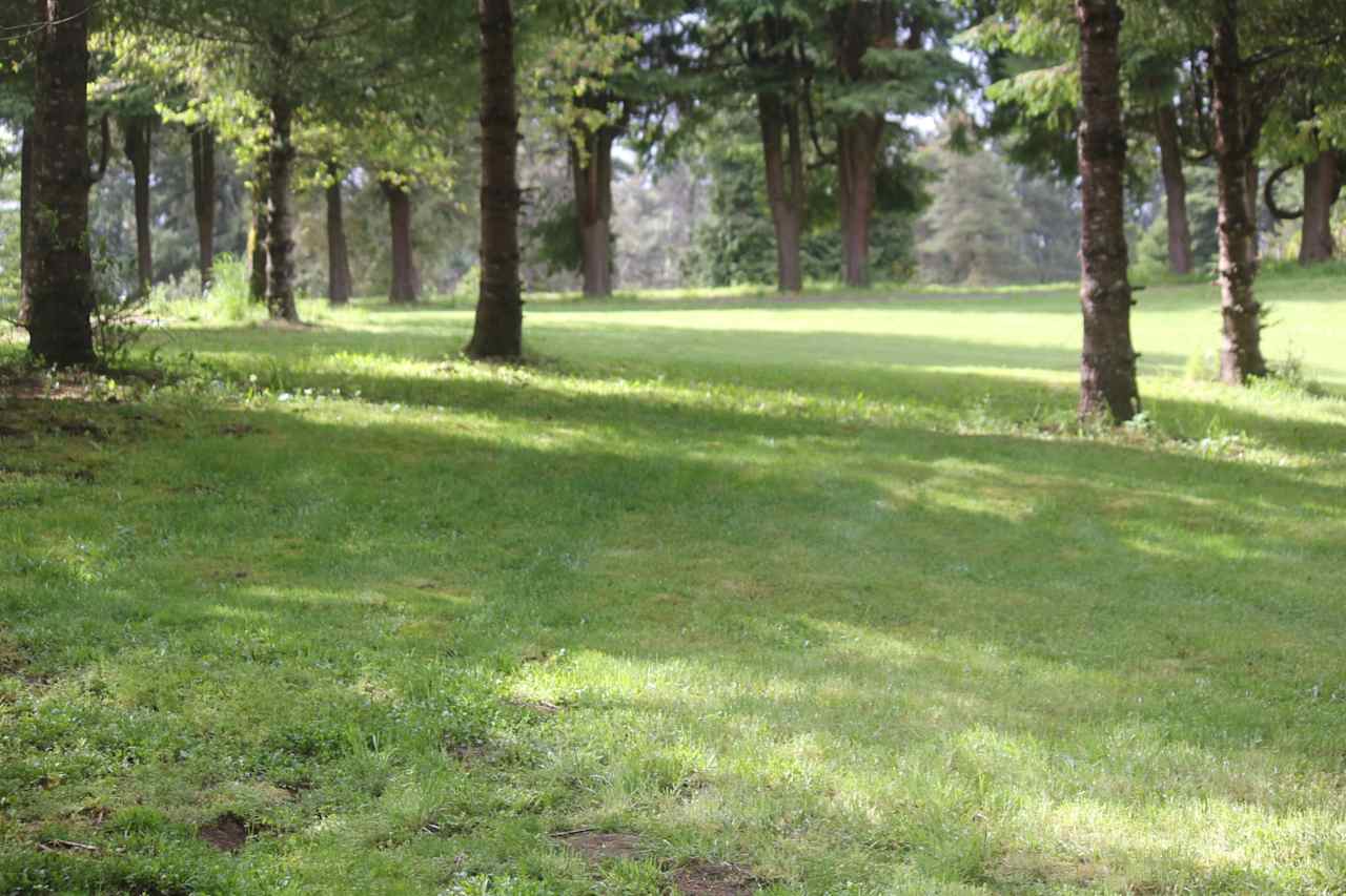 Field area next to main parking. Can park extra vehicles here.