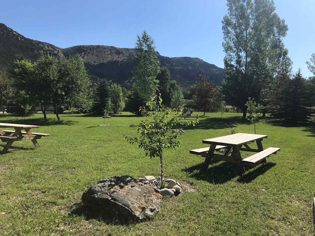 The Orchard Group Tent Area