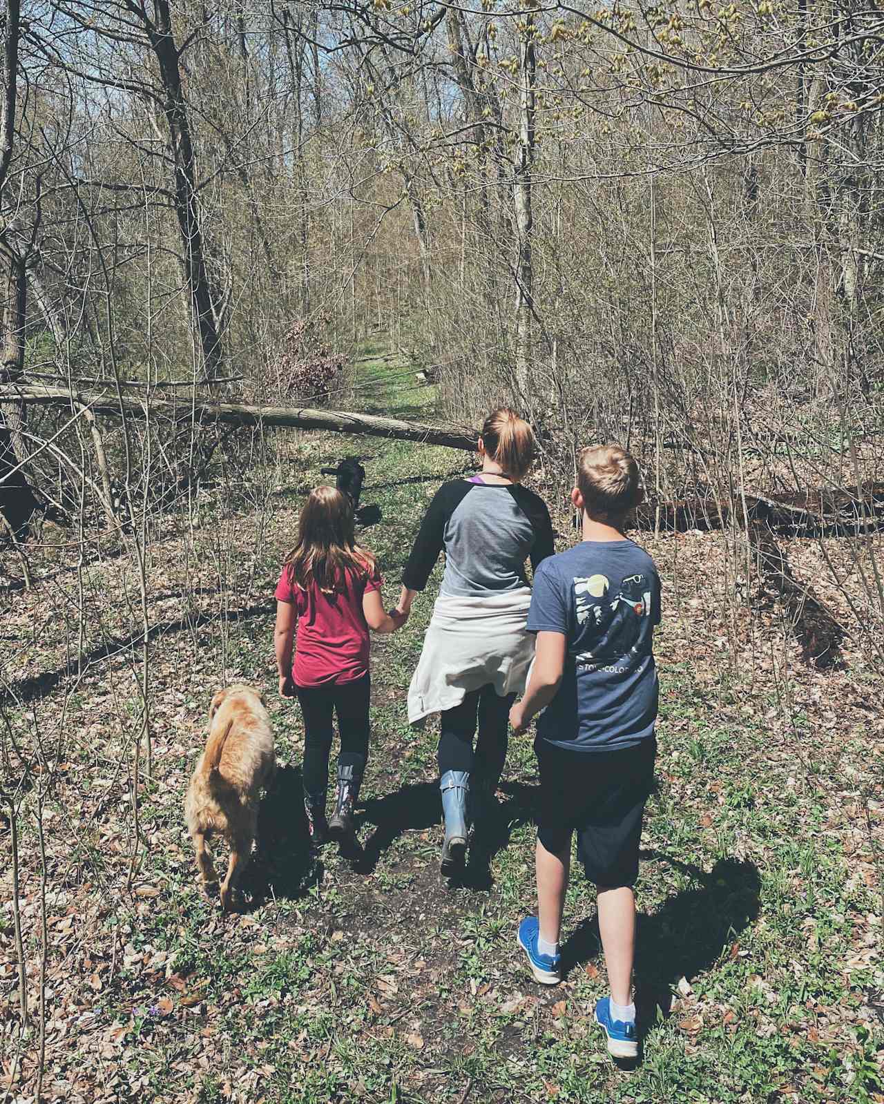 Walking on the little trail around the property