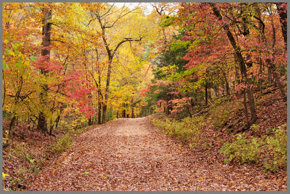 Autumn Beauty at Sunny Dawn Acres