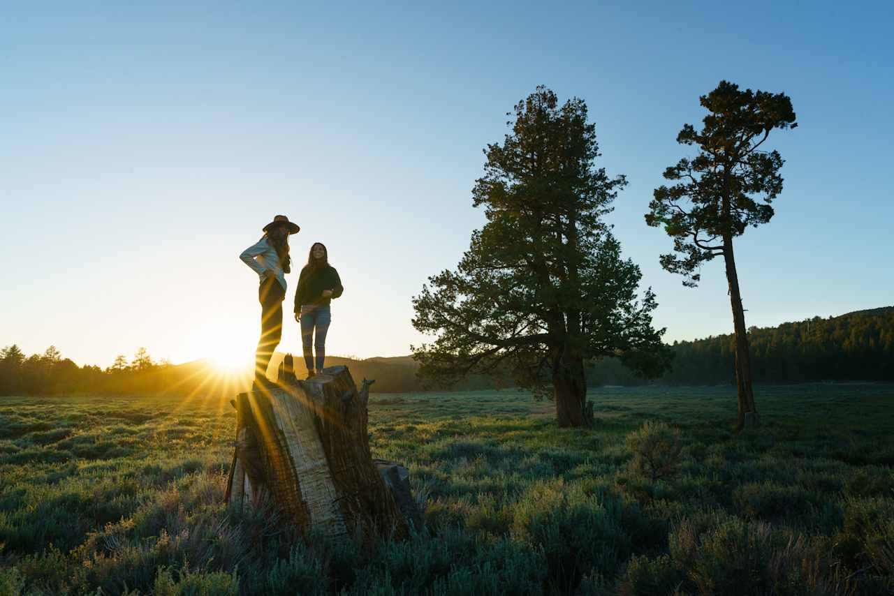 Walking the property