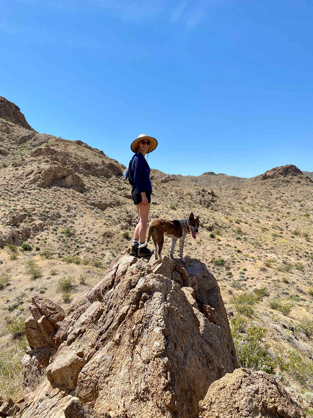 Joshua Tree Private Campsite