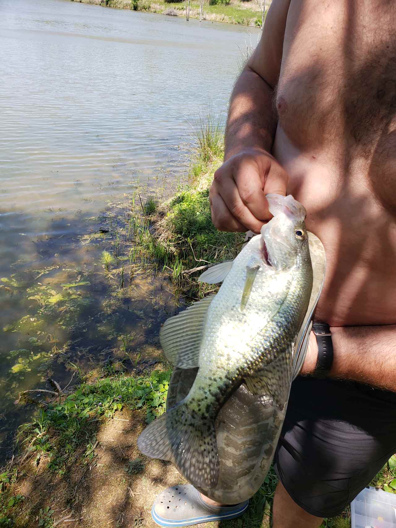 Hidden Lake Farm