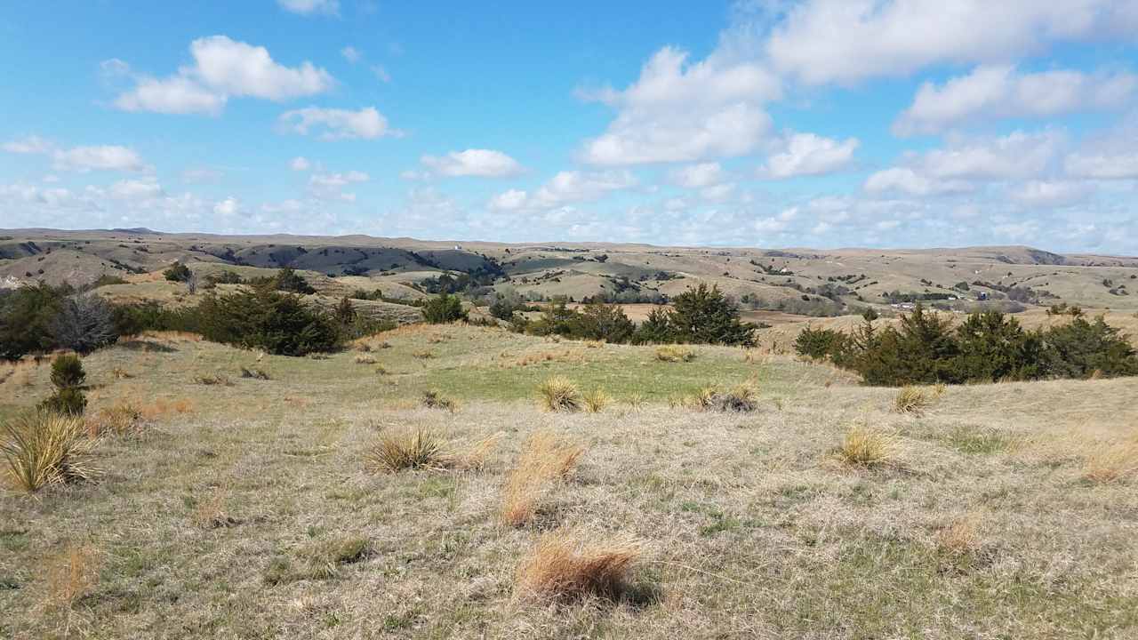 looking towards the North East