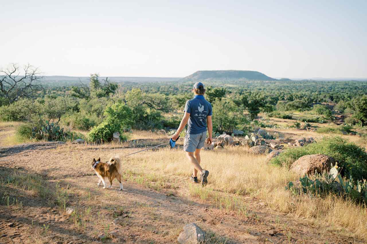 Exploring the land