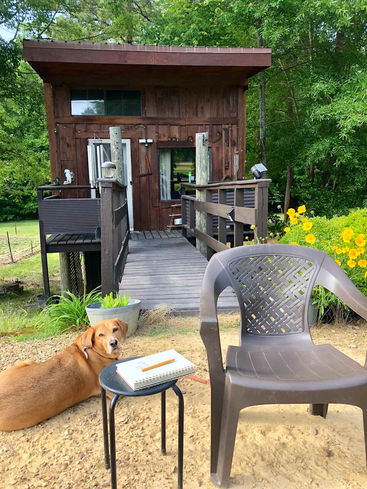 Fishers Pond at the Treehouse