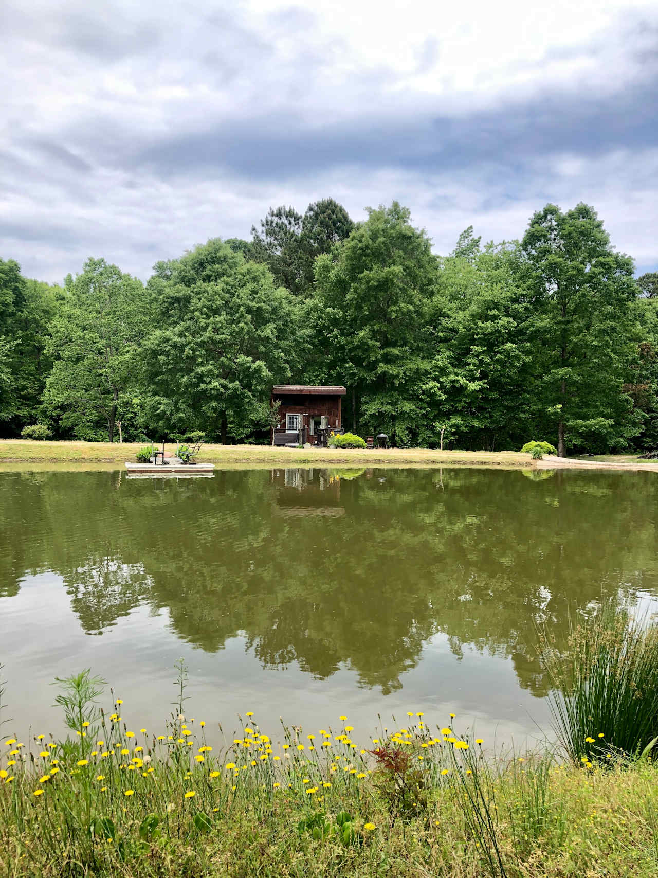 Fishers Pond at the Treehouse