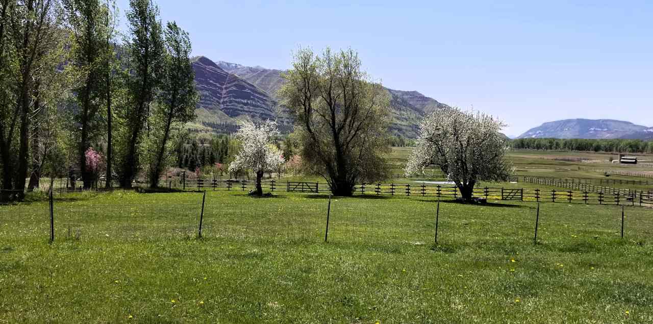 Animas River Valley red cliffs