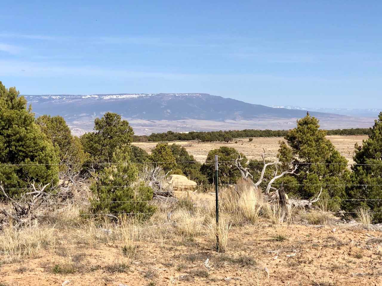 Campsite facing East