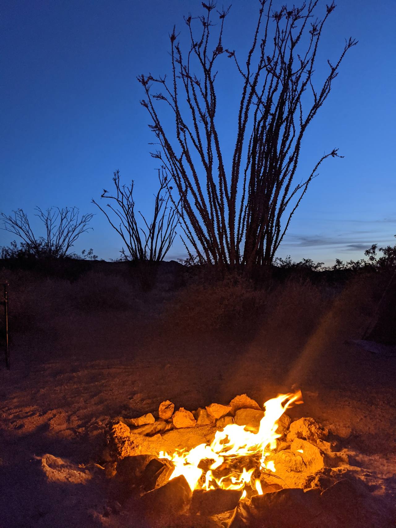 Joshua Tree Private Campsite