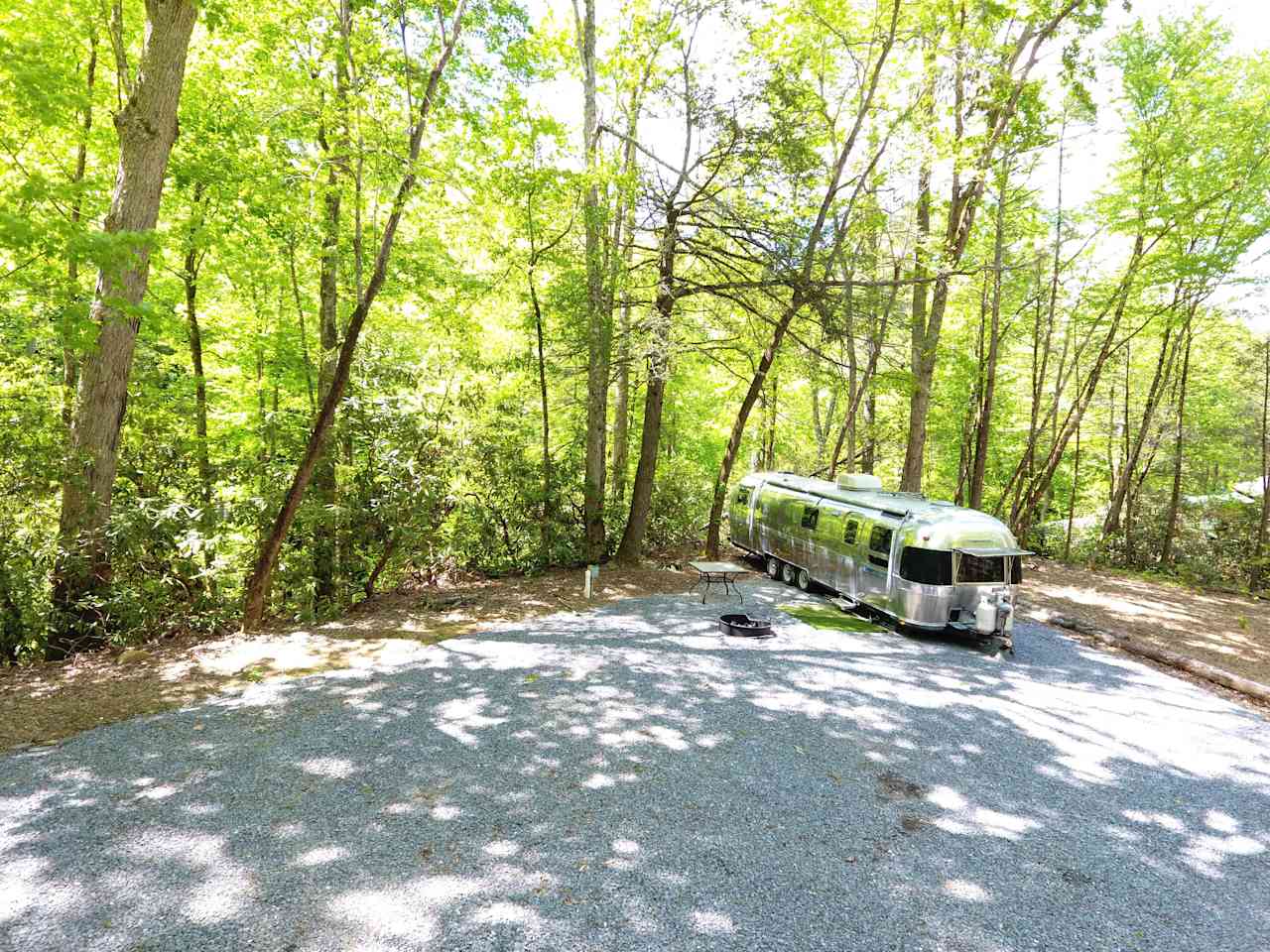 Walking distance to Maderon Bald Trail Head, and an organic coffee shop and book store. 