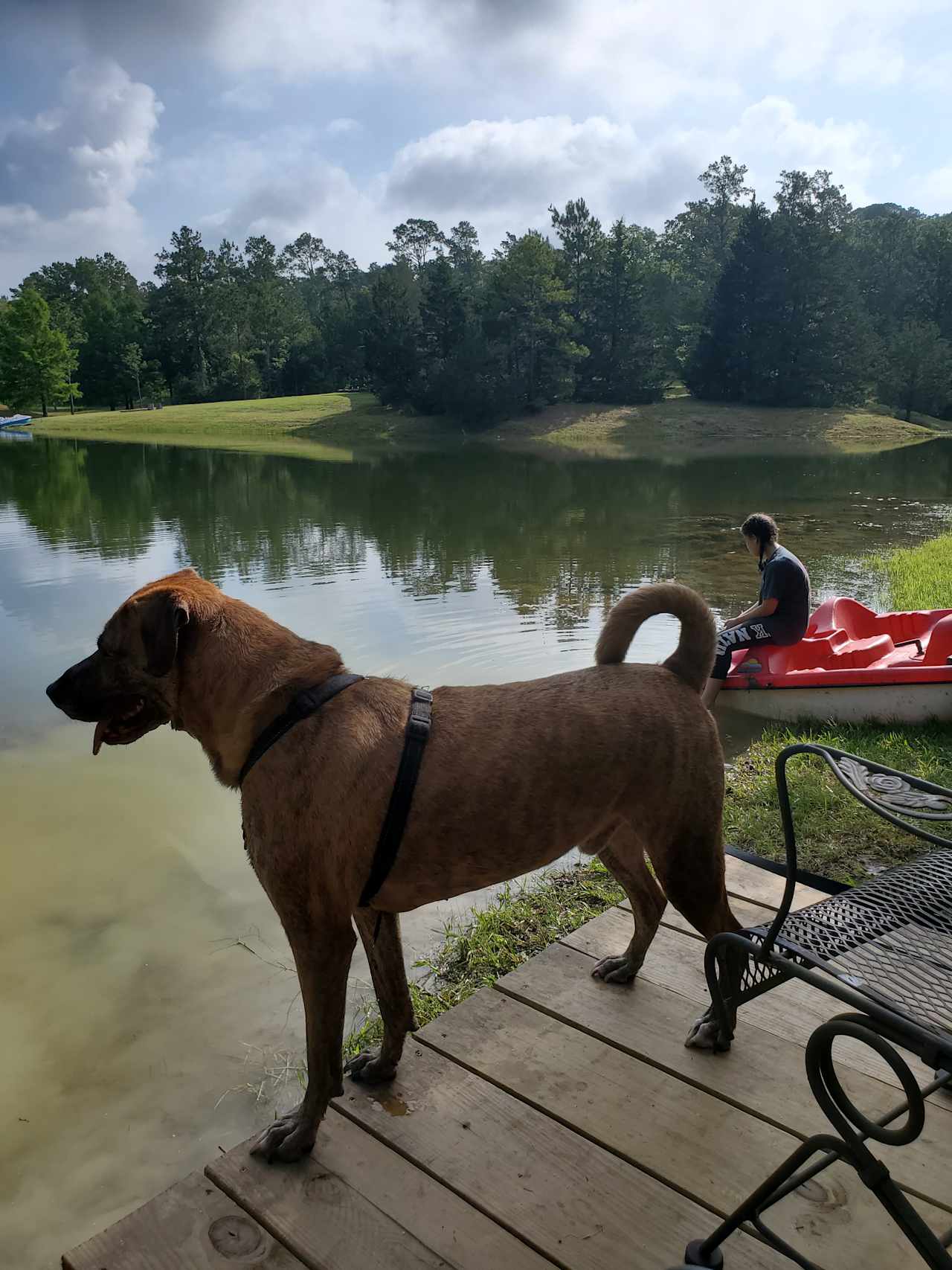 The Honey Hole