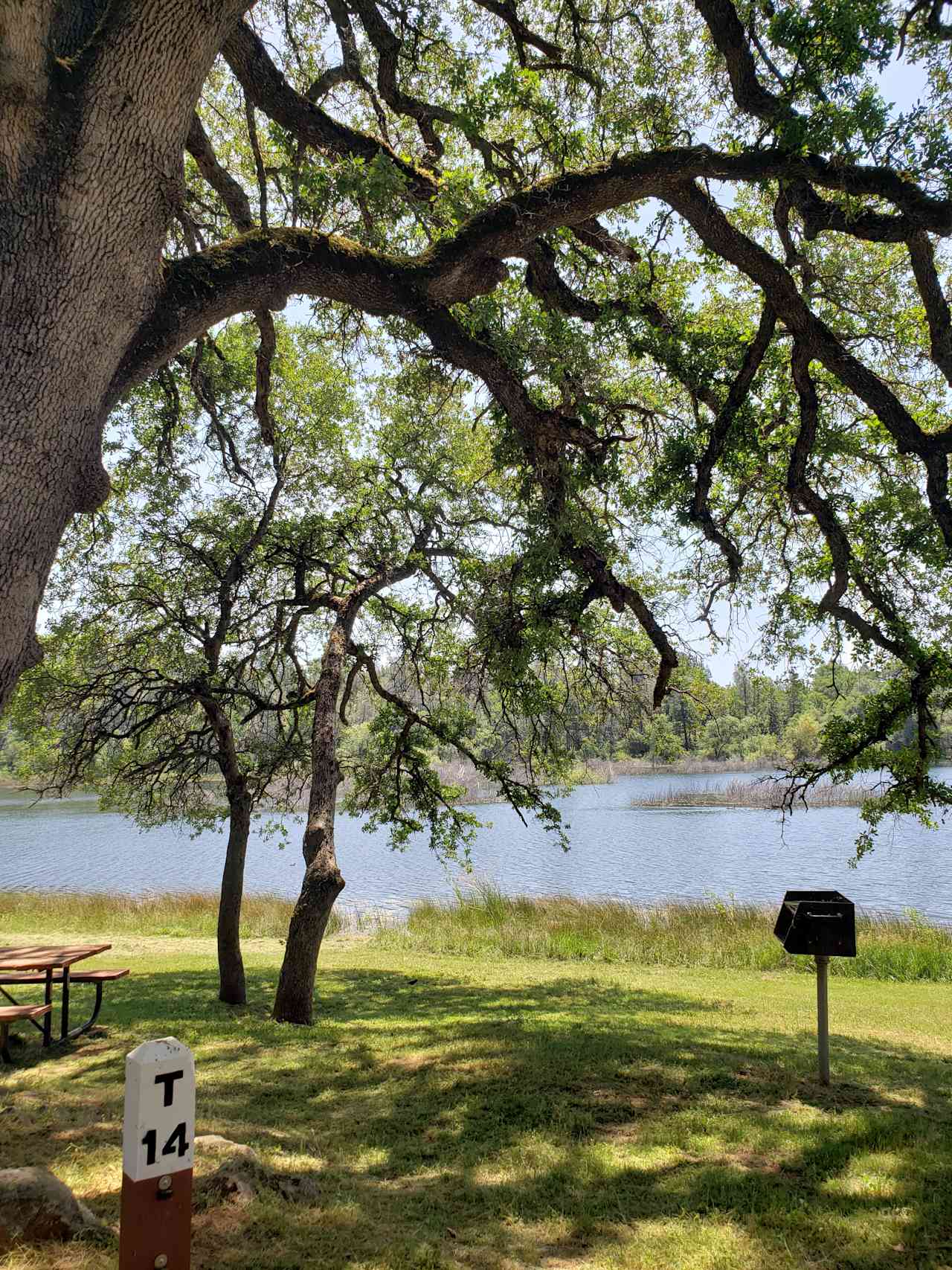 Finnon Lake Recreation Area