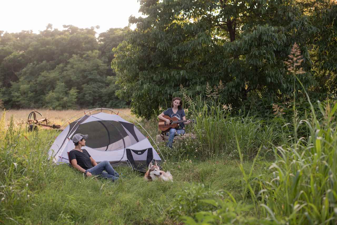 A perfect shady secluded campsite!