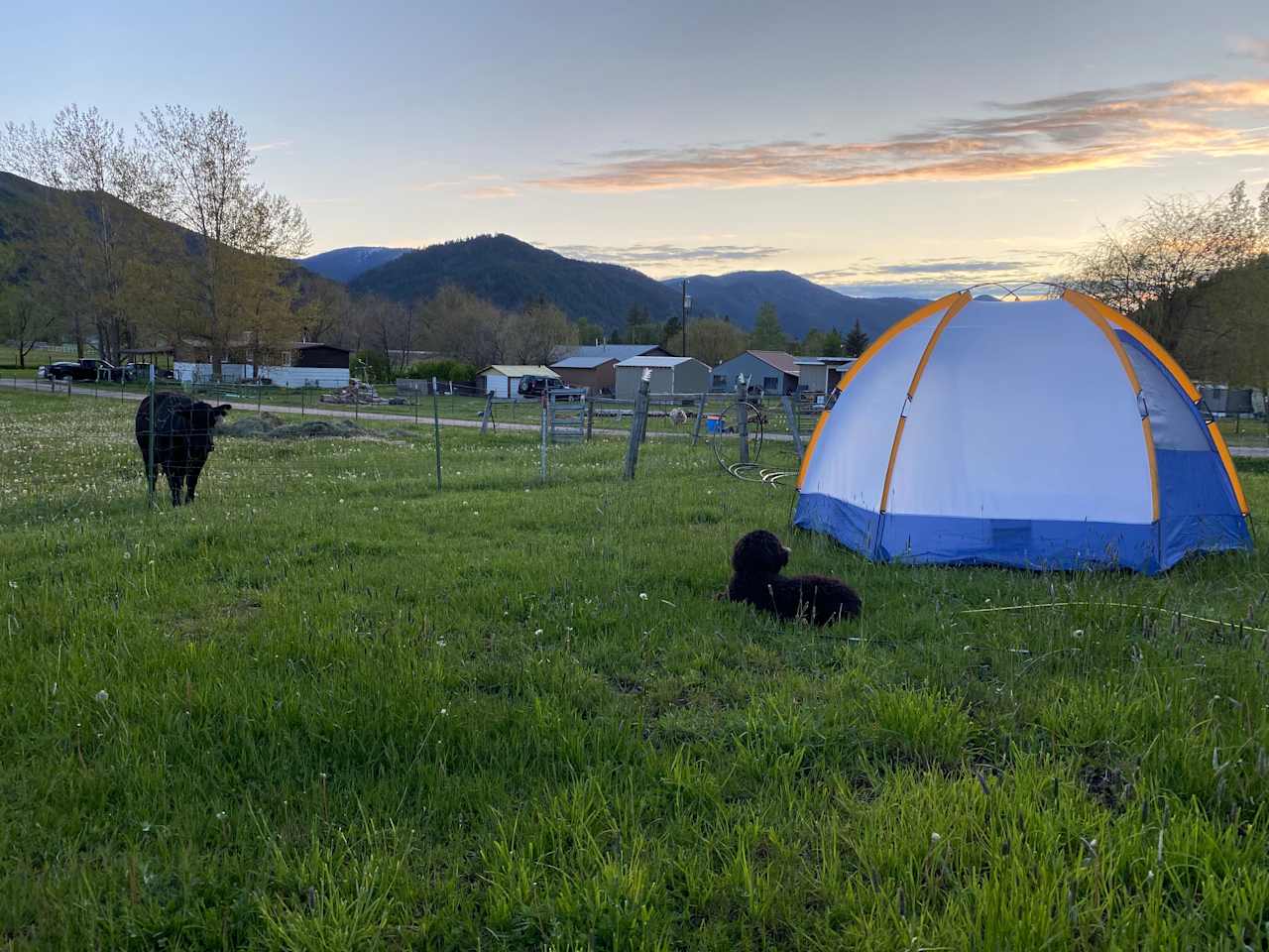 Rainbow Gulch Farm