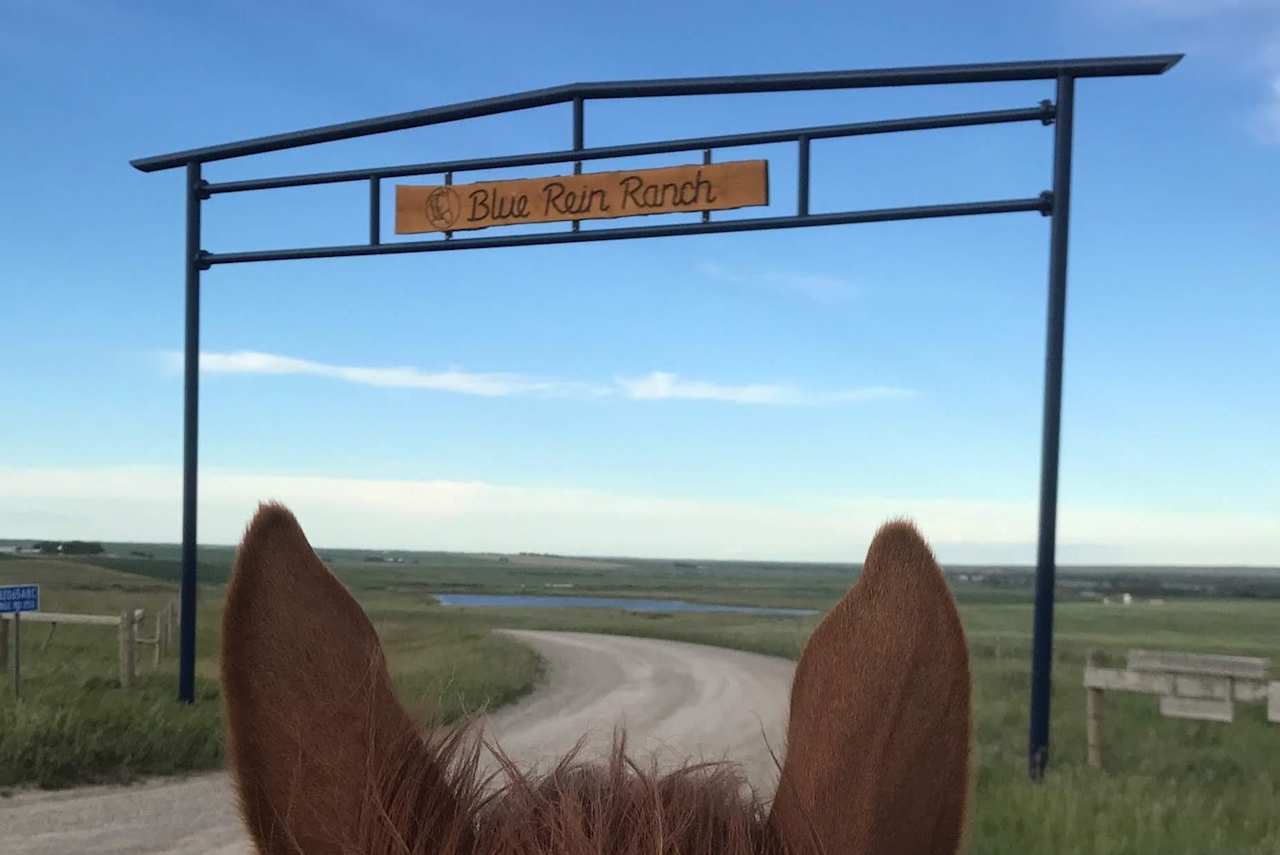 Blue Rein Ranch entrance.