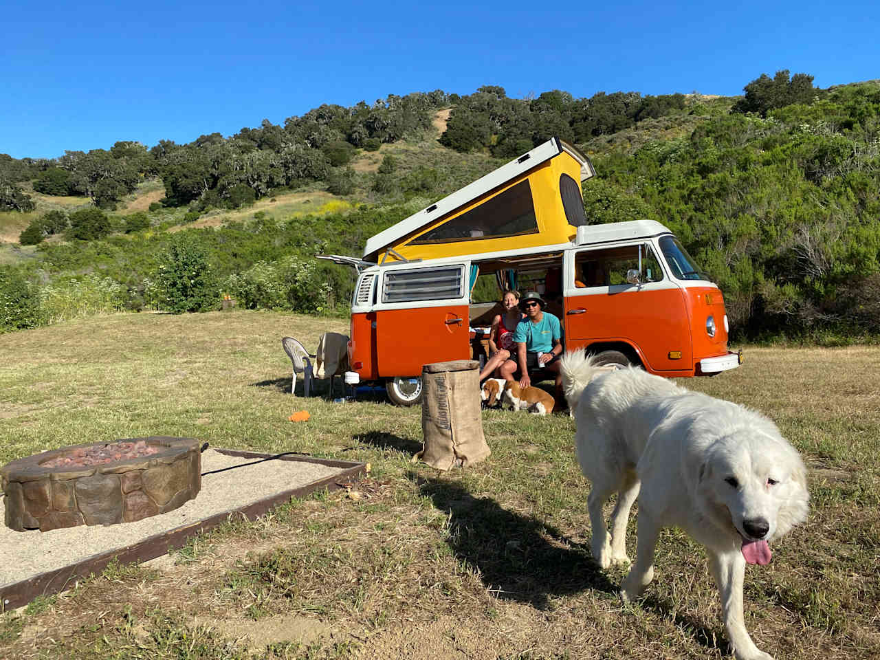 Freedog Farms @ Cactus Flower Ranch