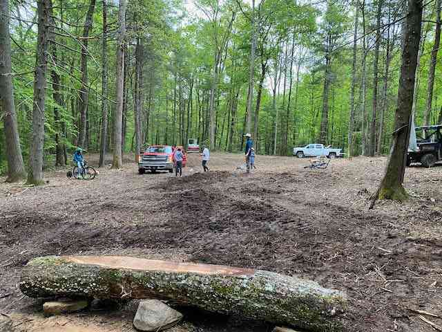 Wide open campsite in mature hardwood forest. 