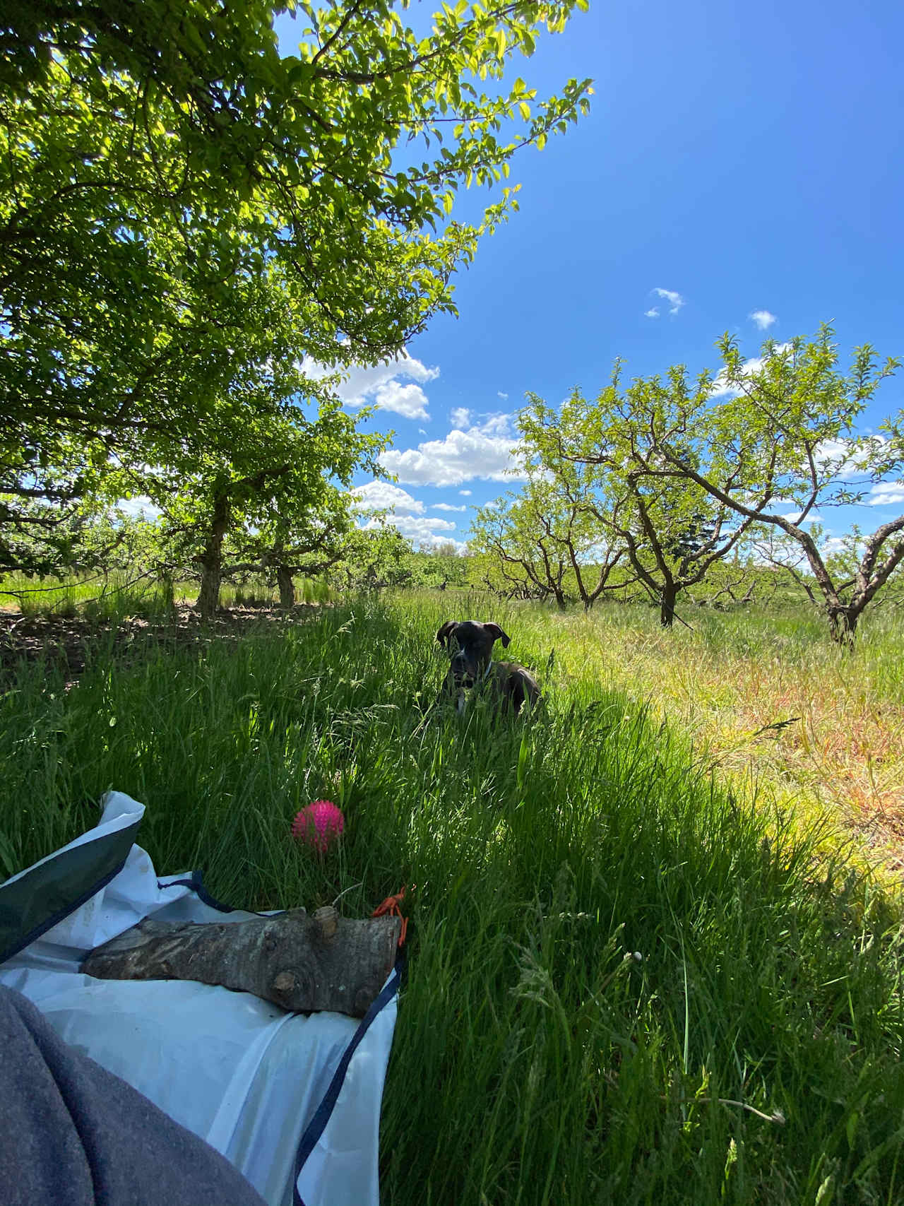 Hidden Acres Orchards