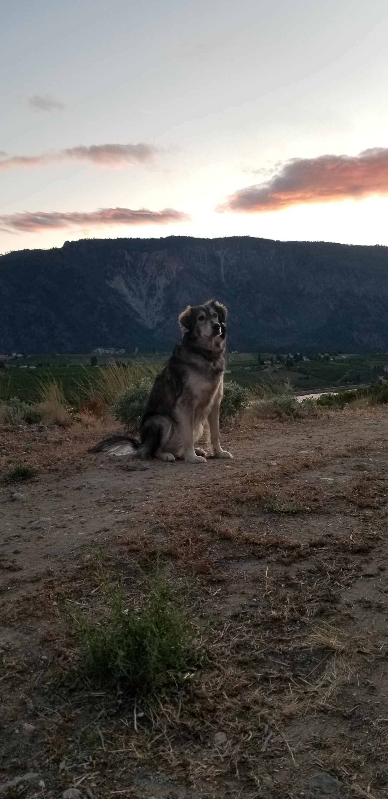 Beautiful sunset walk on our way to the restroom