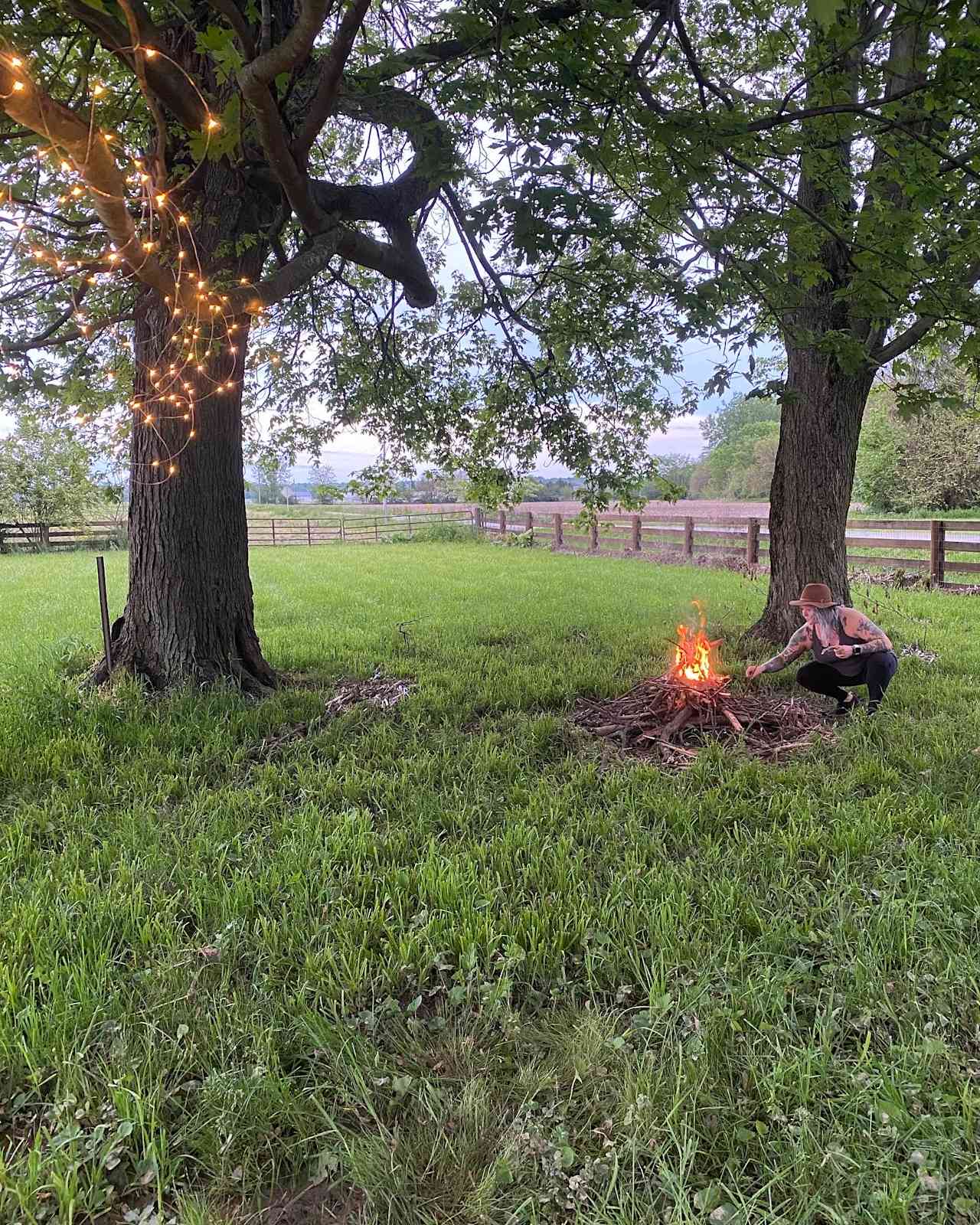 Camping with Unruly Goats