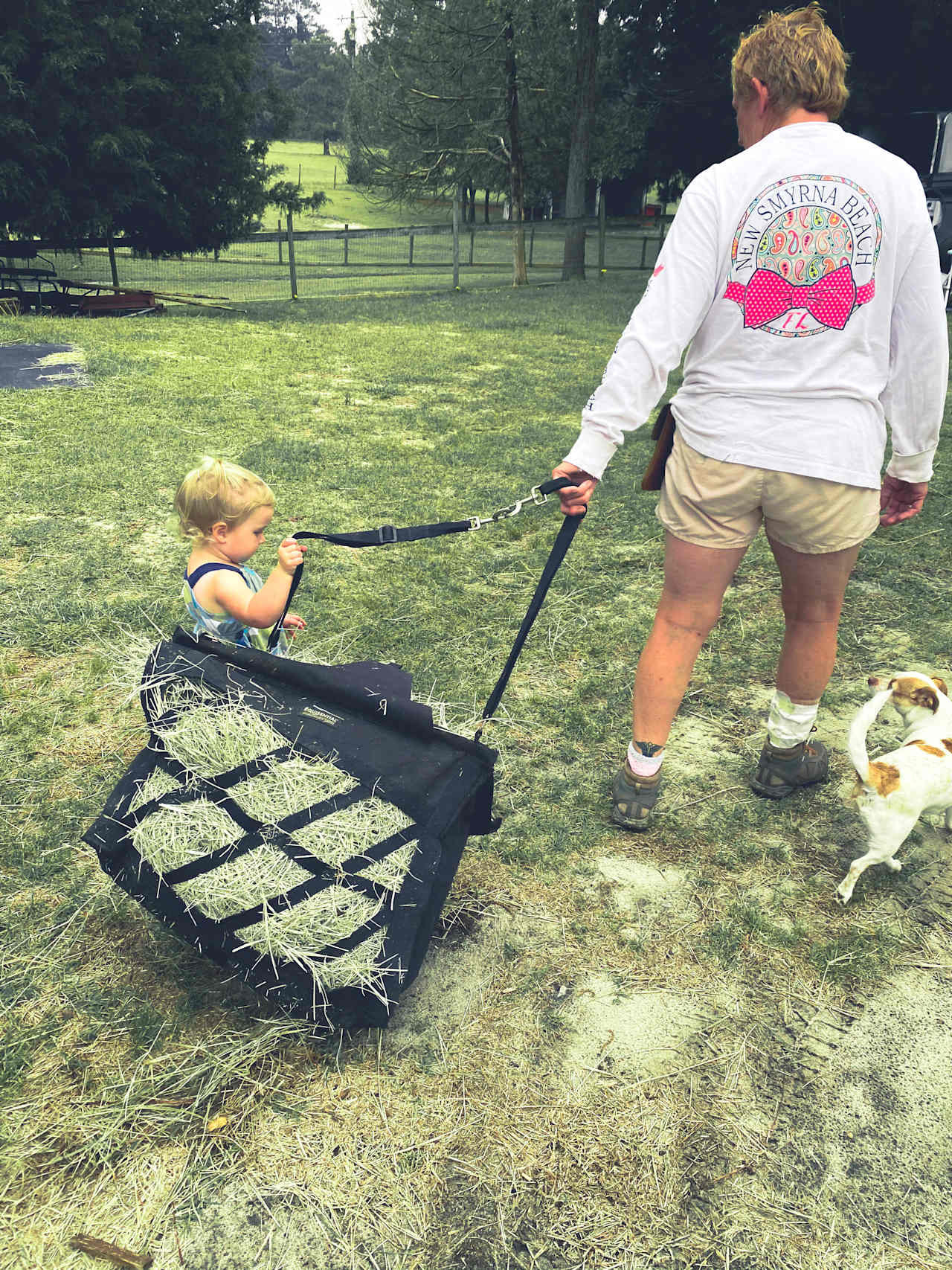 I can’t describe the pure kindness that pours out of Silk Purse Farm. They just love life and people! They are patient, kind and a joy to be around!