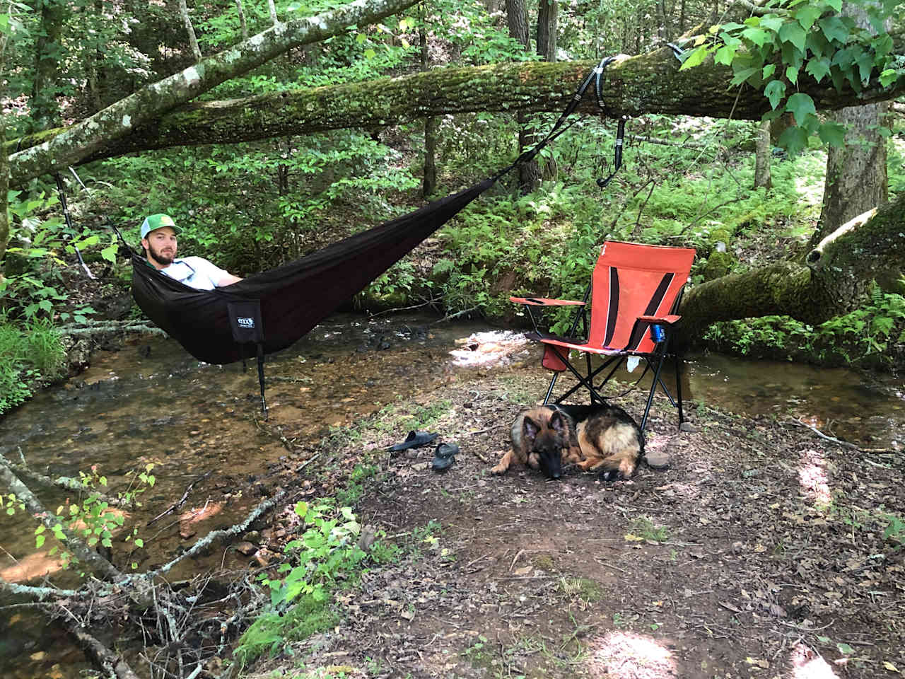 White Dog Farm camping