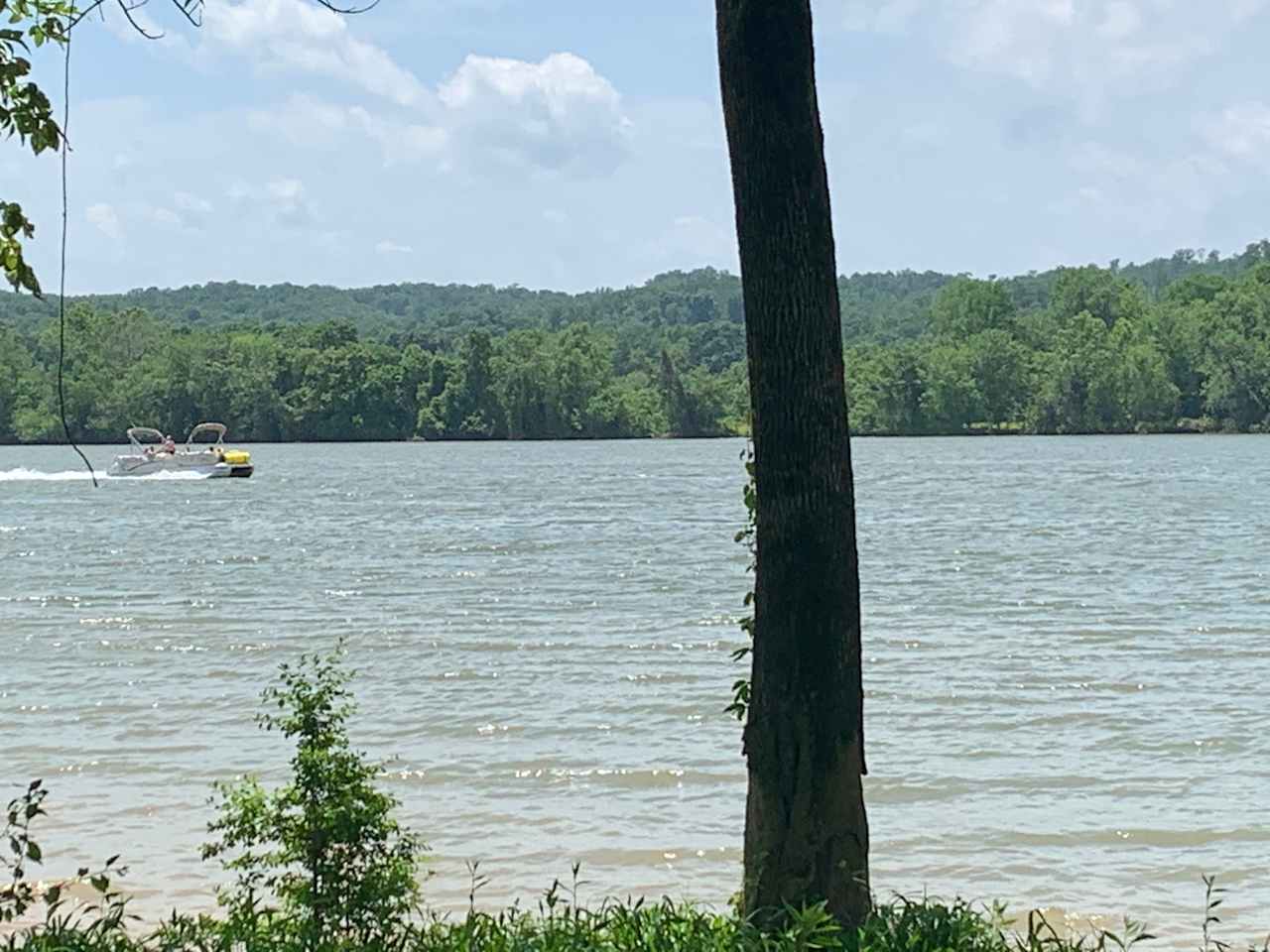 Blue Heron Landing