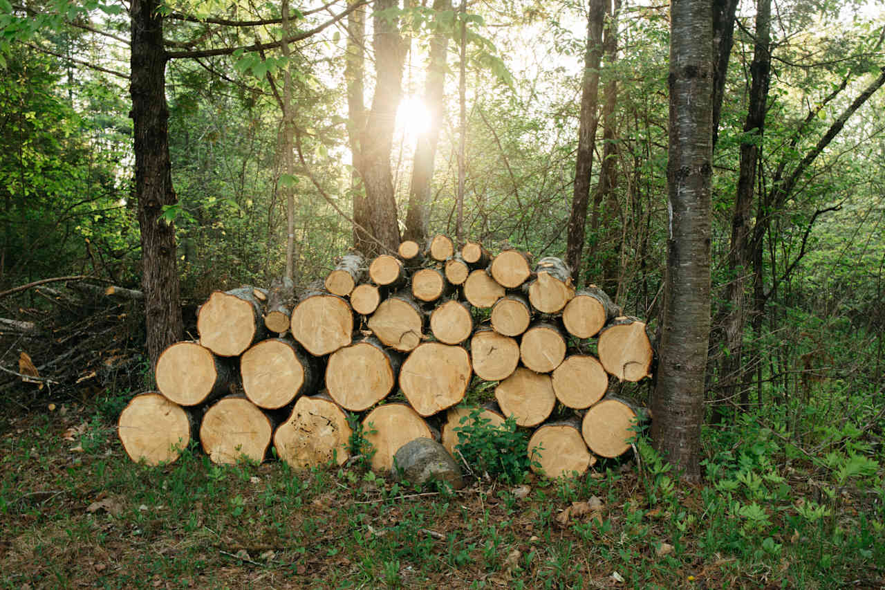 Firewood down the driveway