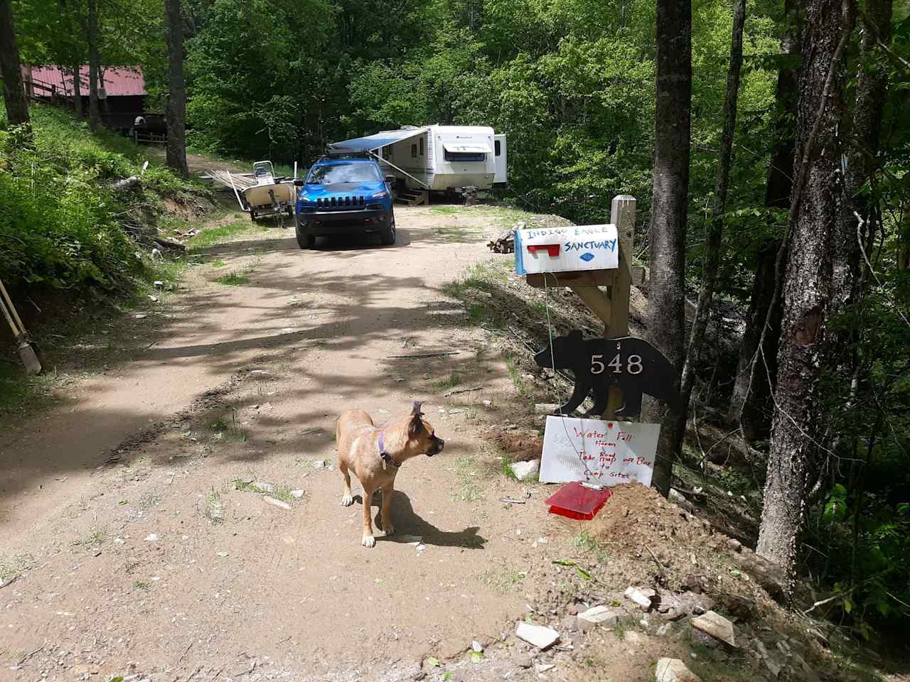 Mailbox at 548 Plott Balsam Rd., This is where you pick up the directions/map and fill out waiver form. Remember to arrive before dark so you can see where you are going. 