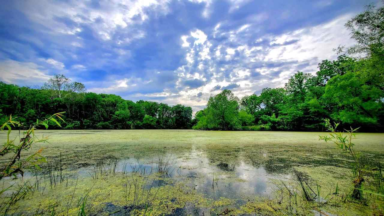 Perdue Homestead Farm