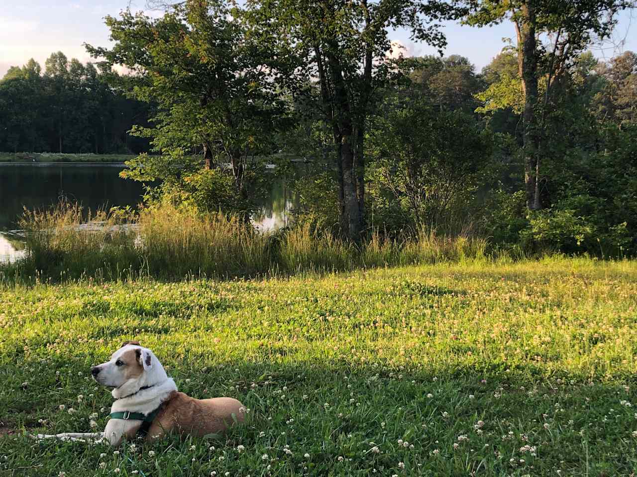 Chattooga Belle Farm Lakeside