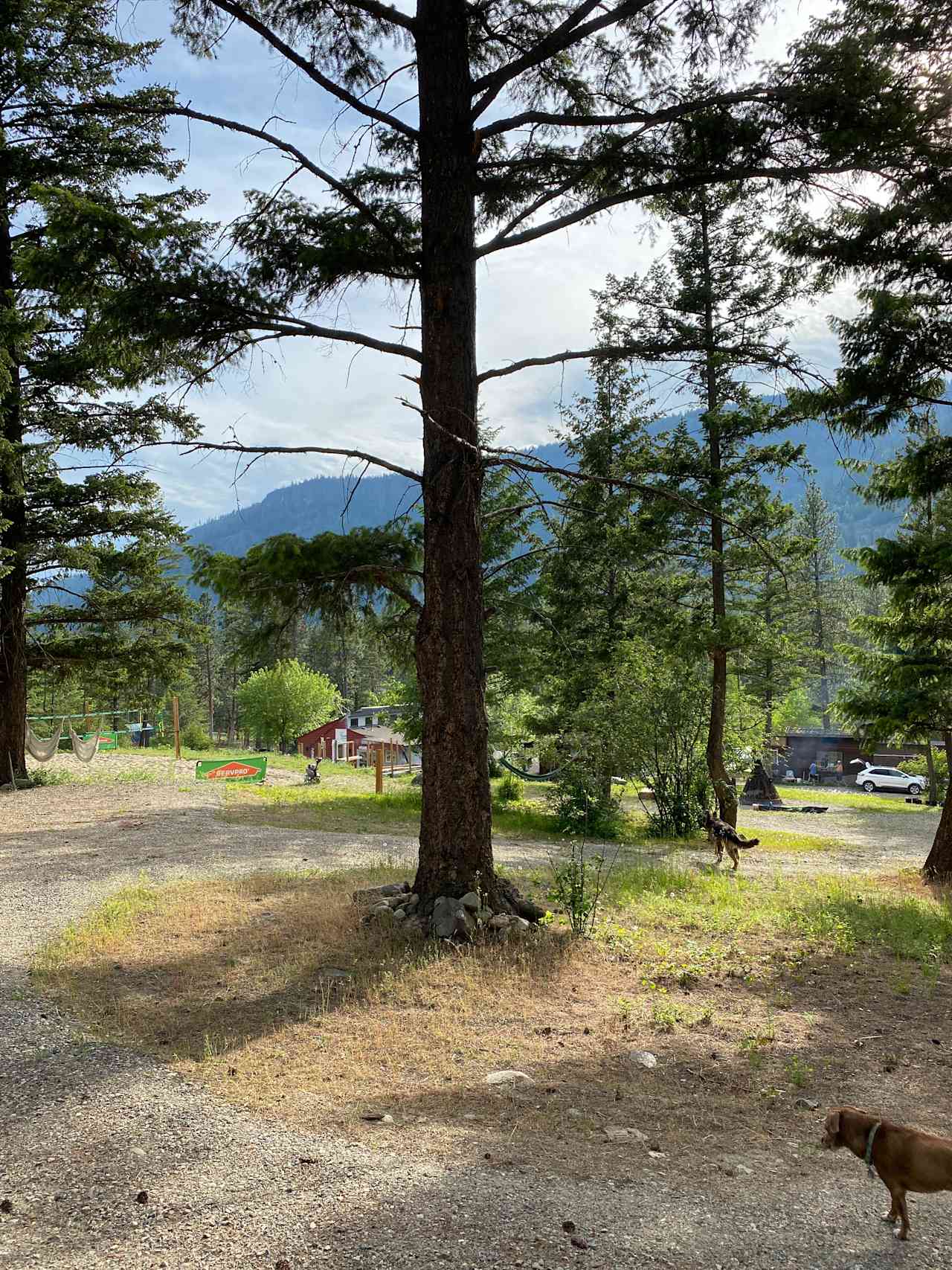 View from campsite