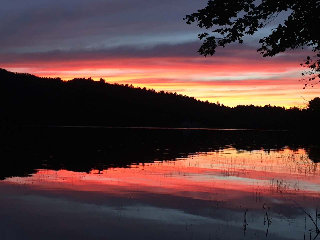 Beautiful sunset on the lake