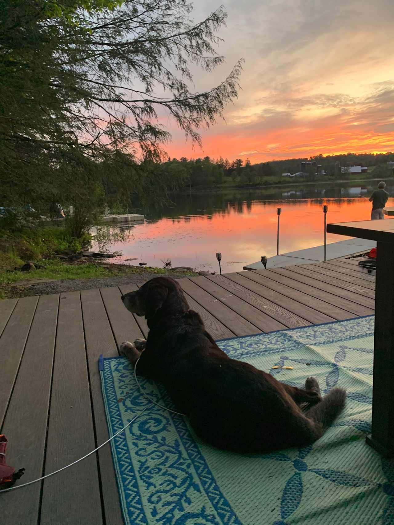 Sunset Shore Cabin on Private Lake