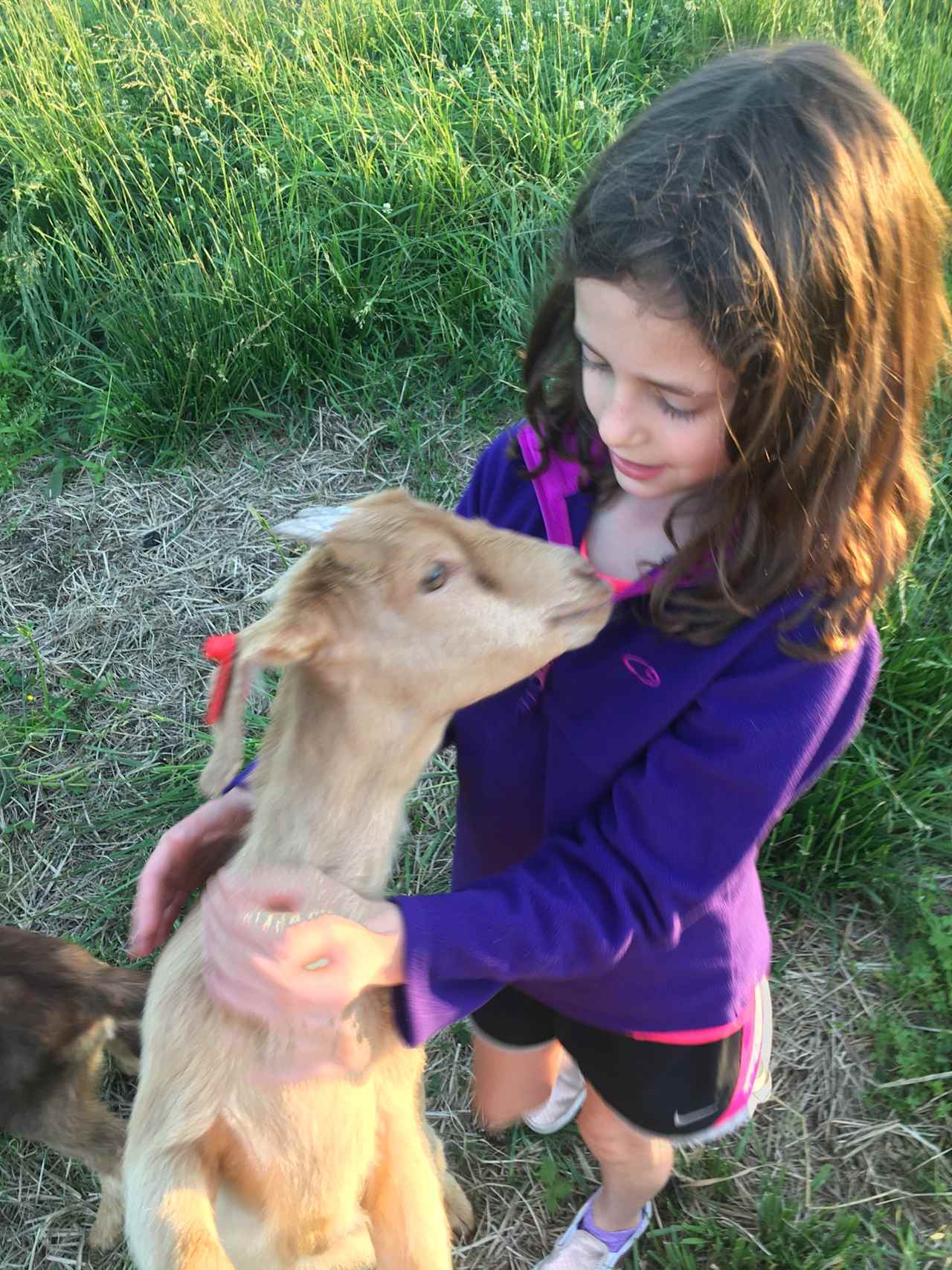 The goats are very friendly too!