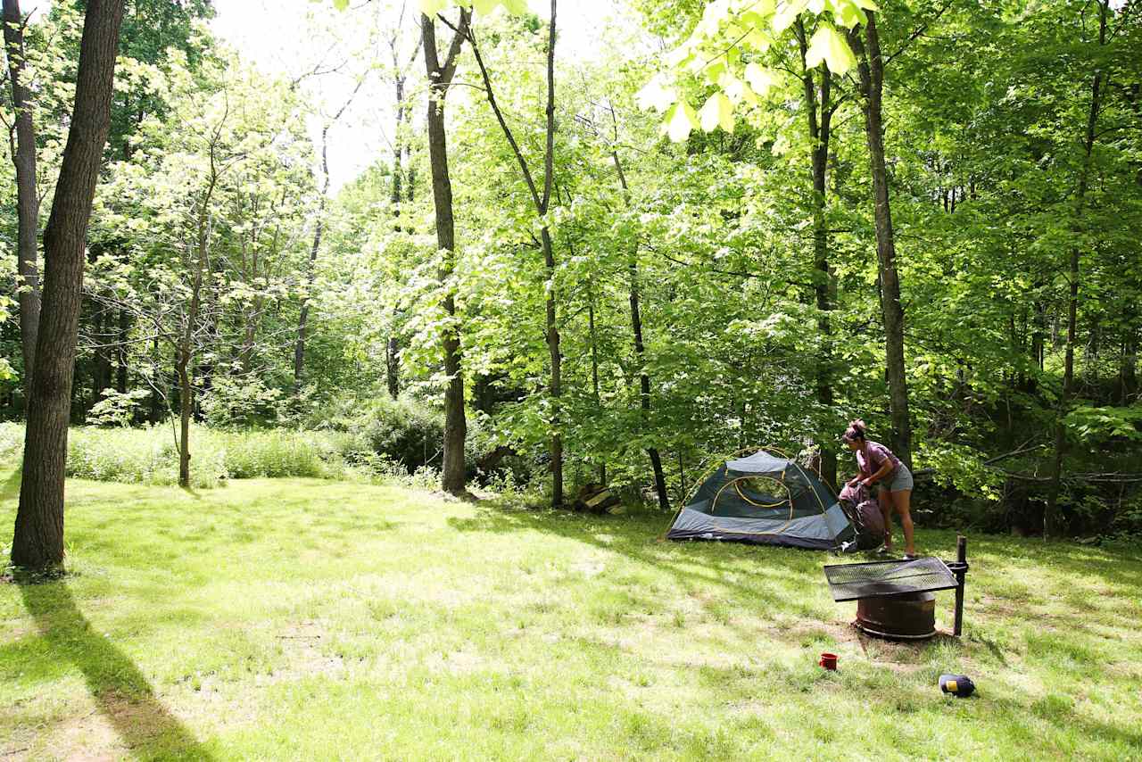 We picked a spot by the creek to set up our tent. 