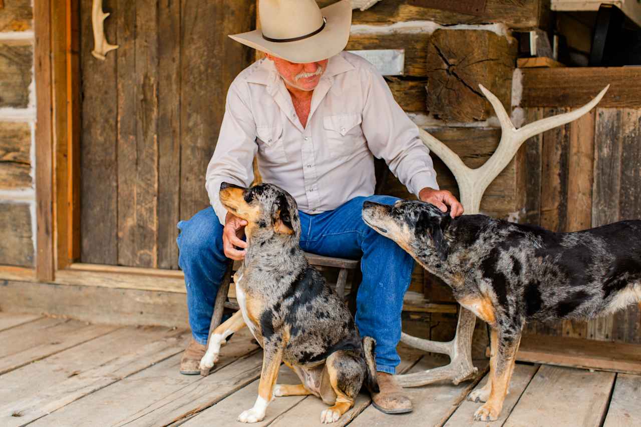 the host, John and his two sweet dogs Kimber and Annie!