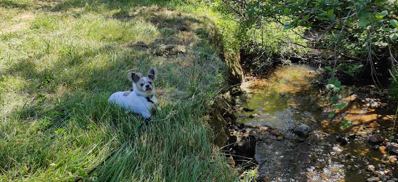 Rocky Run Farm Sharesites