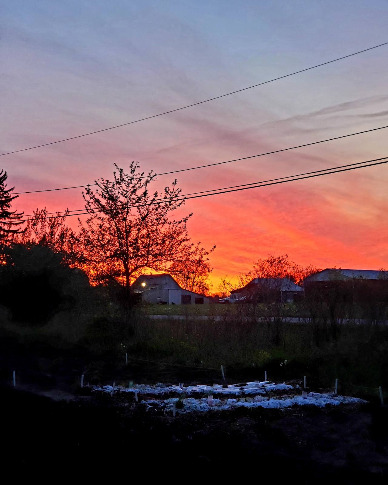 Sundown overlooking the community garden neighboring the site