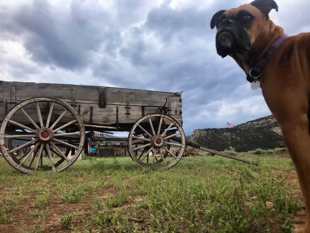 LZJ Ranch's Hiawatha Hideout!