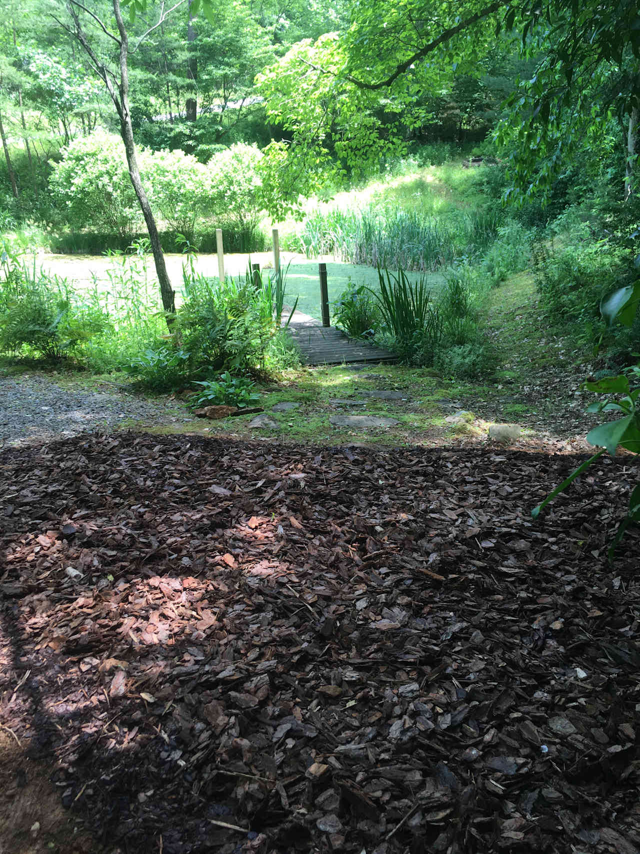 View from main tent site/sitting area at end of drive out over pond.