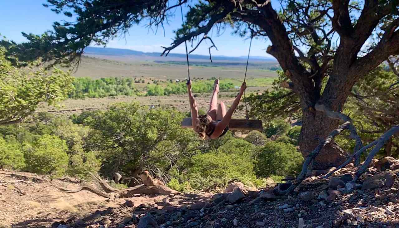 Tree swing - hike up to it!