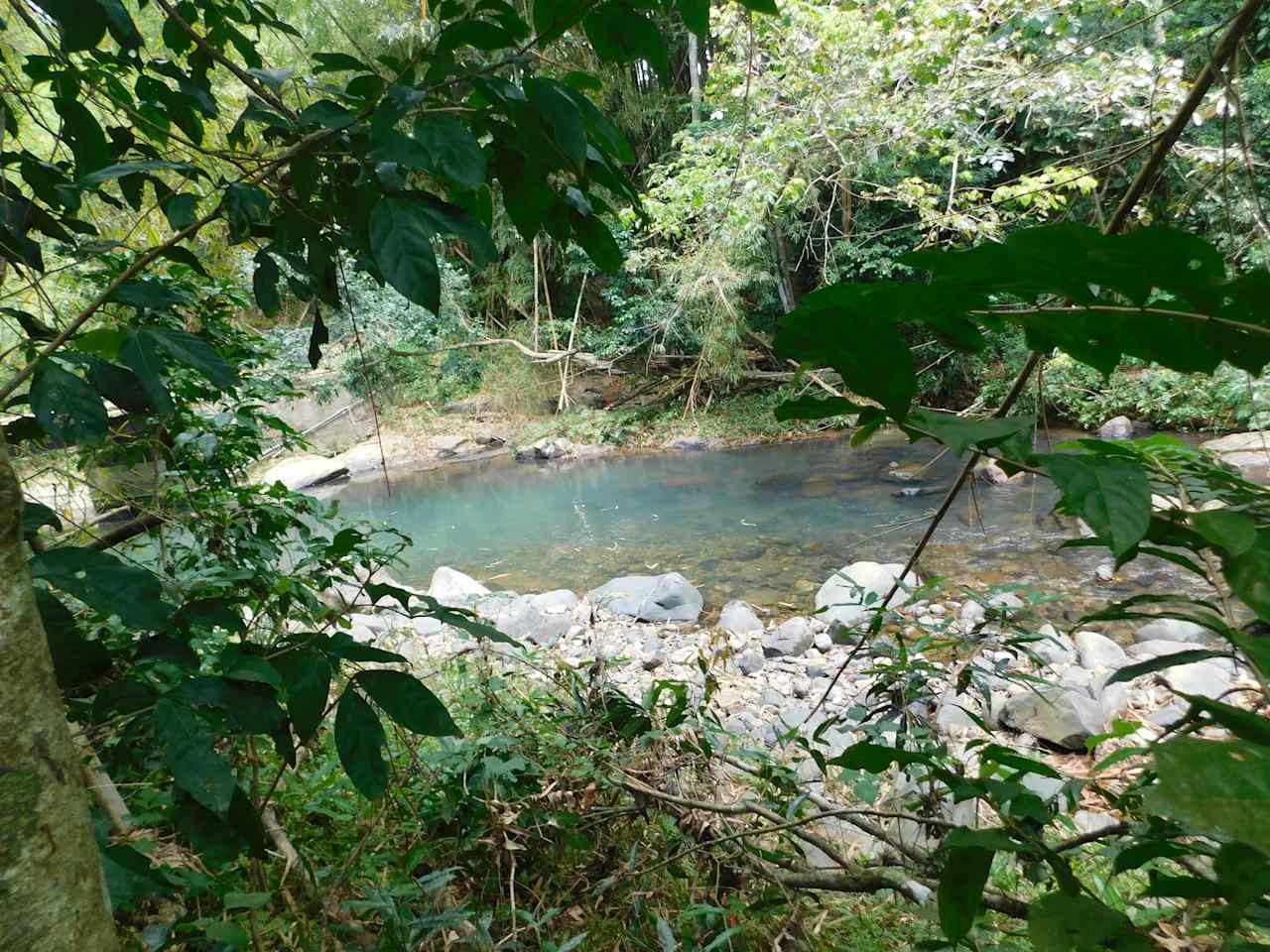 Hacienda Monte Rey near El Yunque